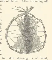 Picture 377 of 388 from Shifts and Expedients of Camp Life, Travels, etc (1876), leaf 723