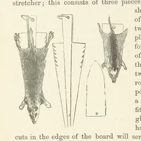 Picture 379 of 388 from Shifts and Expedients of Camp Life, Travels, etc (1876), leaf 724