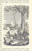 Picture 384 of 388 from Shifts and Expedients of Camp Life, Travels, etc (1876), leaf 737