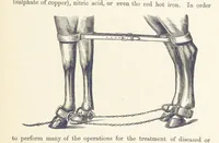 Picture 387 of 388 from Shifts and Expedients of Camp Life, Travels, etc (1876), leaf 745