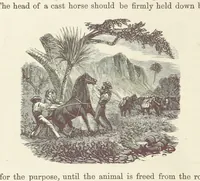 Picture 388 of 388 from Shifts and Expedients of Camp Life, Travels, etc (1876), leaf 746
