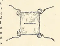 Picture 37 of 388 from Shifts and Expedients of Camp Life, Travels, etc (1876), leaf 99