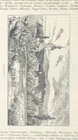 An illustration from A Vág és vidéke topographiai leirás, egyszersmind kalauz a Vág-völgyben utazók ... számára. ... 54 eredeti képpel. Kiadta L. Gy (1881)