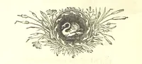 An illustration from Love Lyrics and Valentine Verses, for young and old. [E. M. Davies. With illustrations (1875)