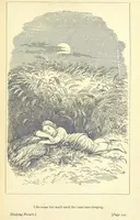 An illustration from Love Lyrics and Valentine Verses, for young and old. [E. M. Davies. With illustrations (1875)
