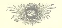An illustration from Love Lyrics and Valentine Verses, for young and old. [E. M. Davies. With illustrations (1875)