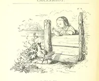 An illustration from Love Lyrics and Valentine Verses, for young and old. [E. M. Davies. With illustrations (1875)