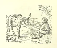 An illustration from Love Lyrics and Valentine Verses, for young and old. [E. M. Davies. With illustrations (1875)
