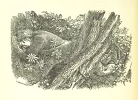 An illustration from Love Lyrics and Valentine Verses, for young and old. [E. M. Davies. With illustrations (1875)
