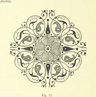 An illustration from Patrycyat i mieszczaństwo lwowskie w XVI. i. XVII. wieku. ... Wydanie drugie ... pomnożone, etc (1892)