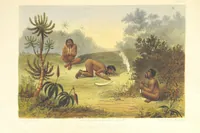 Picture 5 of 21 from Pen and pencil reminiscences of a campaign in South Africa ... Illustrated with ... colour-tinted lithographs (1861), leaf 33
