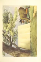 Picture 13 of 21 from Pen and pencil reminiscences of a campaign in South Africa ... Illustrated with ... colour-tinted lithographs (1861), leaf 77