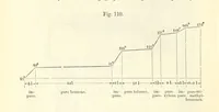 An illustration from Coal-tar and Ammonia. Being the second and enlarged edition of “A treatise on the distillation of Coal-tar and Ammonical Liquor.” (1887)