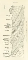 An illustration from Mining. An elementary treatise on the getting of minerals (1893)