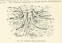 Picture 11 of 469 from Mining. An elementary treatise on the getting of minerals (1893), leaf 44