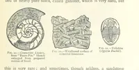 An illustration from Mining. An elementary treatise on the getting of minerals (1893)