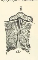 Picture 14 of 469 from Mining. An elementary treatise on the getting of minerals (1893), leaf 46