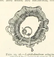 An illustration from Mining. An elementary treatise on the getting of minerals (1893)