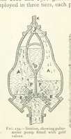 An illustration from Mining ... New edition (1899)