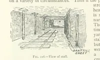 Picture 156 of 463 from Mining ... New edition (1899), leaf 208