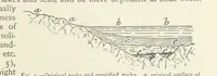 An illustration from Mining ... New edition (1899)