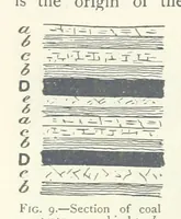 Picture 8 of 463 from Mining ... New edition (1899), leaf 58