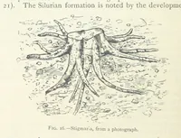 Picture 12 of 463 from Mining ... New edition (1899), leaf 64