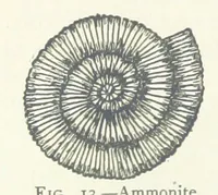 Picture 14 of 463 from Mining ... New edition (1899), leaf 64