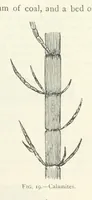 Picture 15 of 463 from Mining ... New edition (1899), leaf 65