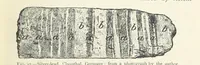 Picture 25 of 463 from Mining ... New edition (1899), leaf 71