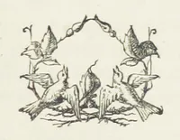 An illustration from Unequally Yoked (1891)