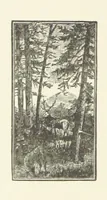 An illustration from Unequally Yoked (1891)