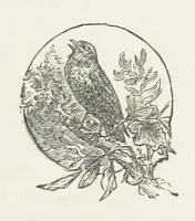 An illustration from Unequally Yoked (1891)