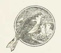 An illustration from Unequally Yoked (1891)