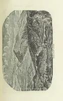 An illustration from Canada; from the lakes to the gulf. ... A compendium of travel ... with ... illustrations, by Captain Mac (1881)