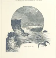 An illustration from Sea Pictures, drawn with pen and pencil (1882)