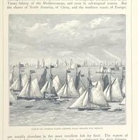 An illustration from Sea Pictures, drawn with pen and pencil (1882)