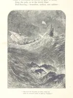 An illustration from Sea Pictures, drawn with pen and pencil (1882)