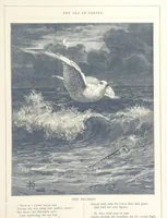 An illustration from Sea Pictures, drawn with pen and pencil (1882)