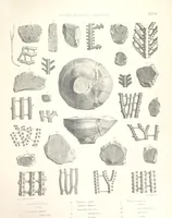 An illustration from A synopsis of the characters of the Carboniferous Limestone Fossils of Ireland. Prepared by F. M'Coy for Sir R. Griffith, by whom is now appended a list of the fossil localities, as arranged for the Journal of the Geological Society of Dublin. ... With twenty-nine lithographic plates (1862)