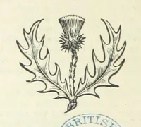 An illustration from Macdonald's Scottish Tourists' Guides. Five volumes in one. Illustrated. Accompanied with ... maps and plans, etc (1888)
