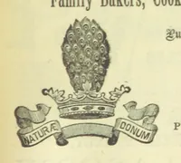 Picture 257 of 313 from Macdonald's Scottish Tourists' Guides. Five volumes in one. Illustrated. Accompanied with ... maps and plans, etc (1888), leaf 489