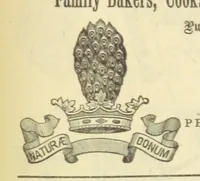 An illustration from Macdonald's Scottish Tourists' Guides. Five volumes in one. Illustrated. Accompanied with ... maps and plans, etc (1888)