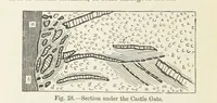 Picture 13 of 40 from A sketch of the Geology of Fife and the Lothians, including detailed descriptions of Arthur's Seat and Pentland Hills (1866), leaf 100