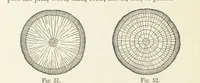 An illustration from A sketch of the Geology of Fife and the Lothians, including detailed descriptions of Arthur's Seat and Pentland Hills (1866)