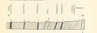 An illustration from A sketch of the Geology of Fife and the Lothians, including detailed descriptions of Arthur's Seat and Pentland Hills (1866)