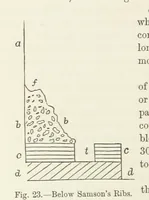 Picture 11 of 40 from A sketch of the Geology of Fife and the Lothians, including detailed descriptions of Arthur's Seat and Pentland Hills (1866), leaf 90