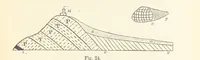 An illustration from A sketch of the Geology of Fife and the Lothians, including detailed descriptions of Arthur's Seat and Pentland Hills (1866)