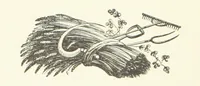 An illustration from History of Macon County, Illinois. With illustrations ... and biographical sketches, etc (1880)
