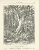 Picture 28 of 52 from In the Ardennes ... With ... illustrations by T. R. Macquoid (1881), leaf 191